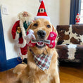 Load image into Gallery viewer, Merry Christmas Bone & Starbarks Puppermint Mocha Original Cup | Christmas Dog Toys