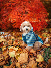 Parisian Pet 'Denim Striped' Hoodie, Blue for Dogs & Cats – Soft, Stylish Pet Apparel