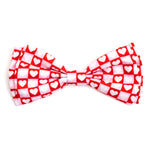 Colorblock Hearts Bow Tie