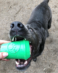 Load image into Gallery viewer, Coffee Cup eDispener Durable Rubber Chew Toy and Treat Dispenser