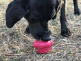 Load image into Gallery viewer, Cupcake eDispenser - Durable Rubber Chew Toy & Treat Dispenser | USA Made