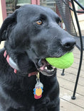 Load image into Gallery viewer, Dinosaur Egg Dog Chew Toy & Treat Dispenser - USA Made | SodaPup