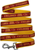 Load image into Gallery viewer, Iowa State Satin Leash