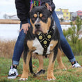 Load image into Gallery viewer, The "Maximus" harness black & gold