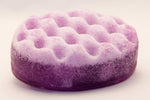 Bug Repellent Lavender Essential Oil Wash Sponge by Dog Fashion Spa
