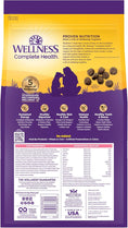 Load image into Gallery viewer, Wellness Complete Health Dry Dog Sensitive Skin & Stomach Salmon & Rice Adult (5lb)