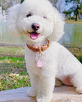 Load image into Gallery viewer, COLLAR - BELLA ROSE