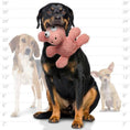 Load image into Gallery viewer, mighty® Microfiber Ball - Pig