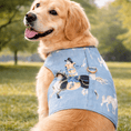 Load image into Gallery viewer, Horse Club Print Blue Harness
