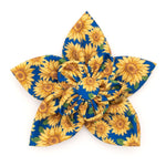 Blue Sunflowers Flower