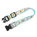 Blue Birdhouses Collar & Lead Collection