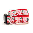 Load image into Gallery viewer, Pink Cherries Jubilee Collar & Lead Collection