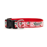 Pink Cherries Jubilee Collar & Lead Collection