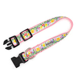 Blue Hello Spring Collar & Lead Collection