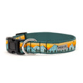 Load image into Gallery viewer, Multicolored Mountain Range Collar & Lead Collection