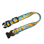 Multicolored Mountain Range Collar & Lead Collection