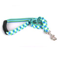 Load image into Gallery viewer, Blue and Green Argyle Dog Leash