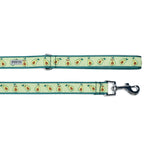 Avocados Collar & Lead Collection