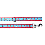 Lighthouses Collar & Lead Collection