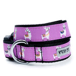 Llamas Collar & Lead Collection