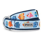 Fishy Collar & Lead Collection