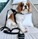 The Novalie Jet - Step in Dog Harnesso