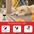Load image into Gallery viewer, Southlake Paws Essential Oil Dog Calming Spray with a relaxing dog on a wooden deck, featuring suggested use icons below.