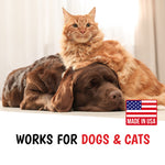 Dog Bitter Spray Anti-Chew - Anti-Lick