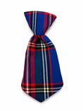 Load image into Gallery viewer, The Fall Tie Collection Gift Box