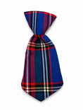 Load image into Gallery viewer, The Fall Tie Collection Gift Box