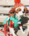 Load image into Gallery viewer, LEASH - HOT MARINE