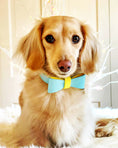 Load image into Gallery viewer, BOW TIE - SUNSHINE BABE