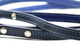 Load image into Gallery viewer, Limited Edition Light Blue Stitched Dog Leash - image 2