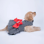 Royal Houndstooth Dress