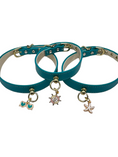 Load image into Gallery viewer, Nautical Dog Collar- Summer Series