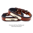 Load image into Gallery viewer, Padded Dog Collar - image 3