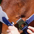 Load image into Gallery viewer, Magna Halter ™ in Blue with Fleece Noseband and Leather Breakaway