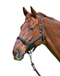 Load image into Gallery viewer, Magna Halter ™ in Black With Leather Breakaway