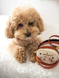 Load image into Gallery viewer, Ainsley Vegan Leather Dog Leash