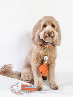 COLLAR - VIBRANT SUNSET