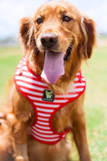 Load image into Gallery viewer, EcoBark Custom-Fit Harness & Leash Combo - Red Stripe