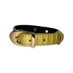 XS/S 7-14 Light Yellow Patent Custom Snake Collar/Custom Gold Italian Hardware