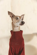 Load image into Gallery viewer, The Heirloom Turtleneck