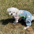 Load image into Gallery viewer, Summer Overalls