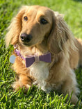 Load image into Gallery viewer, BOW TIE - LAVISH LAVENDER