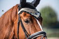 Load image into Gallery viewer, Champagne Fly Hat