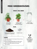 50 Simple Indoor Miniature Gardens