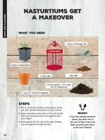 50 Simple Indoor Miniature Gardens