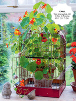 50 Simple Indoor Miniature Gardens