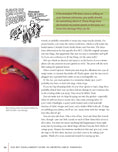 Load image into Gallery viewer, You Bet Your Garden Guide to Growing Great Tomatoes, Second Edition